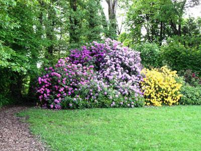 PARC DU CHATEAU DE CHAVANIAC-LAFAYETTE