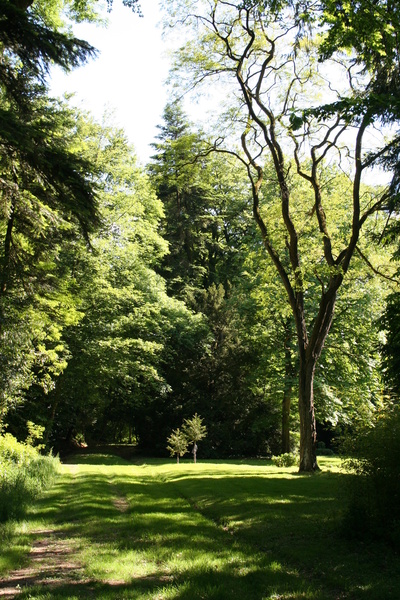 Parc du Bois Cornillé