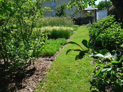 JARDIN POTAGER DE CAL MATEU