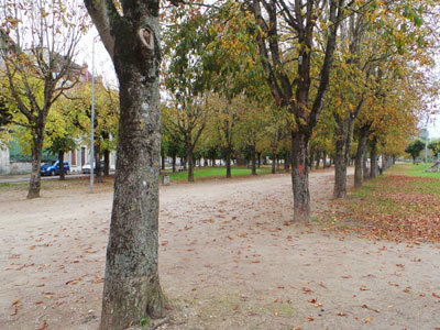 Parc du Pâtis