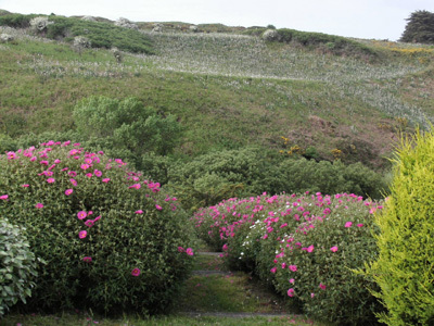 JARDIN LA BOULAYE