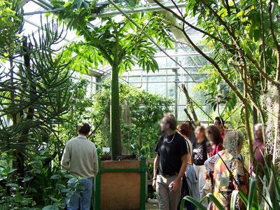 JARDIN DU CONSERVATOIRE BOTANIQUE NATIONAL DE BREST