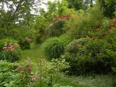 JARDIN DE BOISSONNA