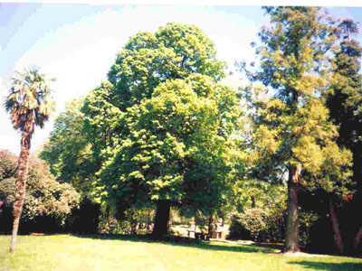 JARDINS DU CHÂTEAU DE TRÉGARANTEC