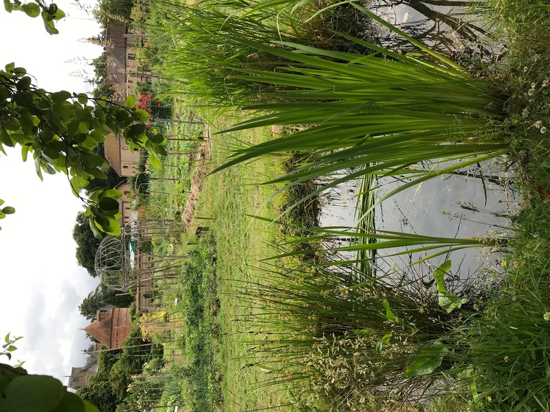 Jardin Potager du Domaine de Chambray