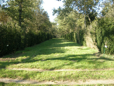 PARC ET JARDIN DU CHÂTEAU DE LARRA