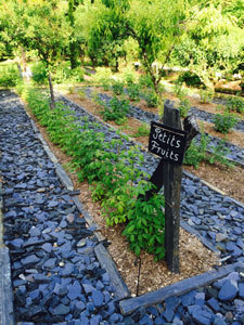 Domaine Royal de Château Gaillard - Les Jardins du Roi