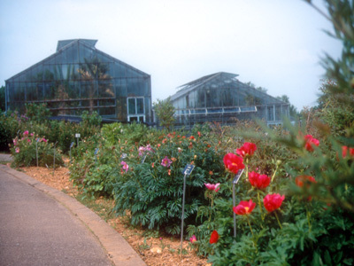 JARDIN BOTANIQUE JEAN-MARIE PELT