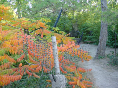 LE JARDIN D'ÉGUILLES