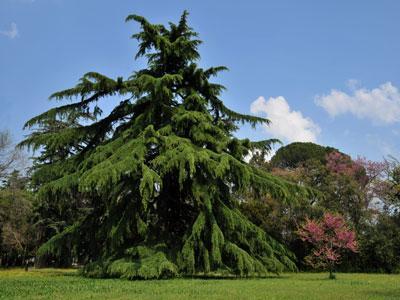 Parc du Château d'Espeyran