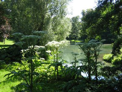 Les Jardins de la Lys