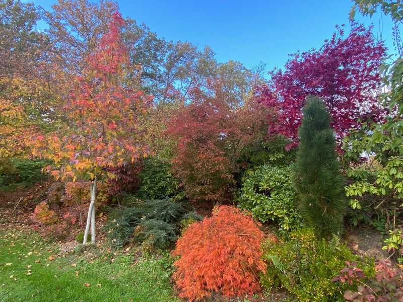 Jardin de Freville