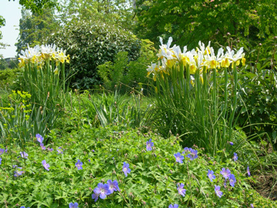 PARC DES IMPRESSIONNISTES