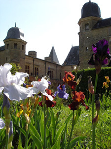 PARC DU CHÂTEAU DE CAUMONT