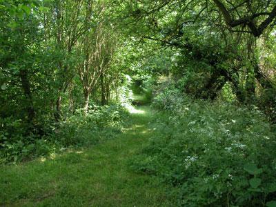 Le Jardin du Naturaliste