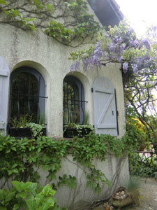 JARDIN « ENTRE CHARMILLES ET BUIS »