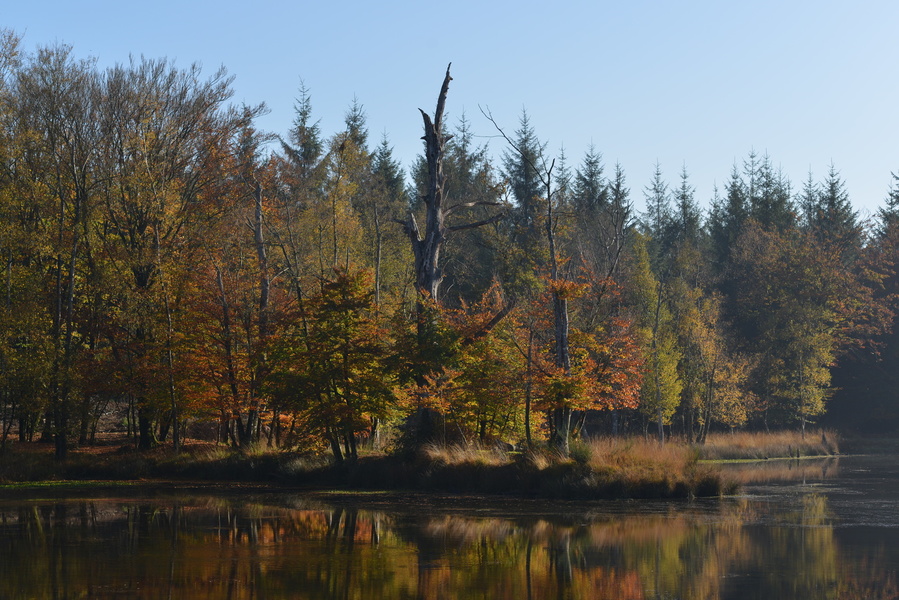 Domaine Ar Duen, la Hardouinais