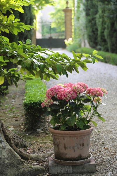 Parc du Domaine de Montlaur