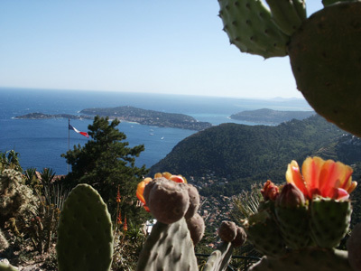 JARDIN D'EZE