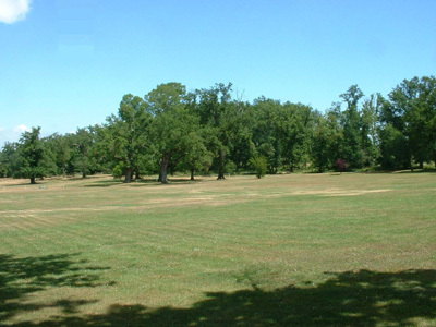 CHÂTEAU LANESSAN