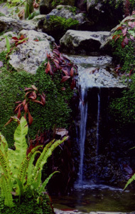 JARDIN BOTANIQUE DE BAYONNE