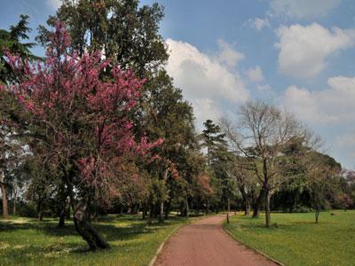 Parc du Château d'Espeyran