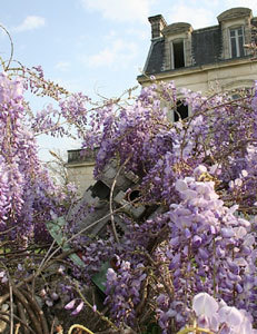 Le jardin d'hélys-oeuvre