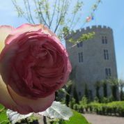 Château d'Hardelot