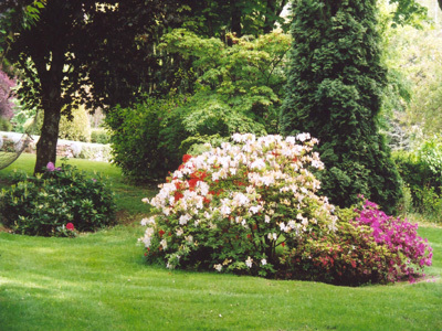 PARC DE L'ETANG