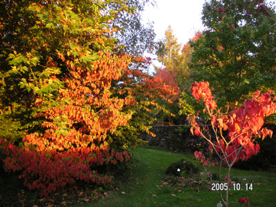 JARDIN DE MARDALOUX