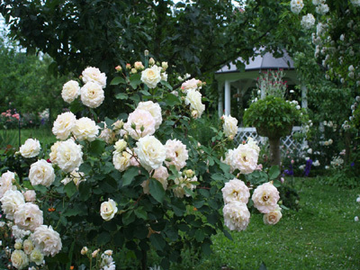 JARDIN DE GRANDS-MÈRES, EMPREINTE ET PATINE DES SIÈCLES