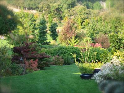 LE PARC LA TERRE PIMPRENELLE