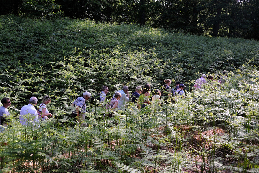 Parc Jean-Jacques Rousseau