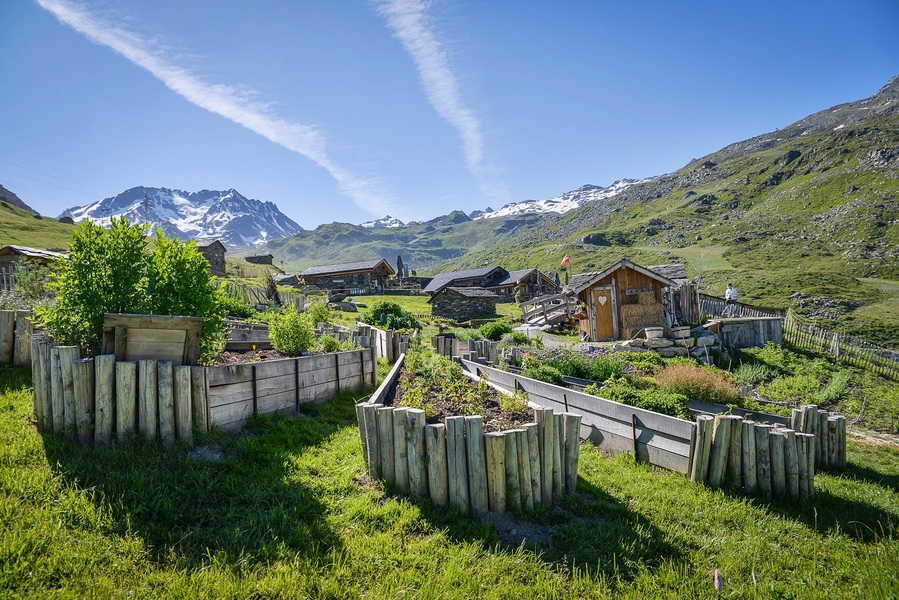 Jardin en permaculture de Chez Pépé Nicolas