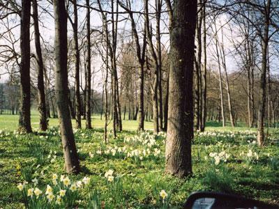 PARC ET JARDIN DU CHÂTEAU DE FLEVILLE