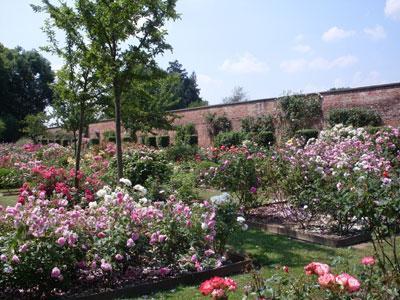 PARC ET ROSERAIE DU CHATEAU DE RAMBURES