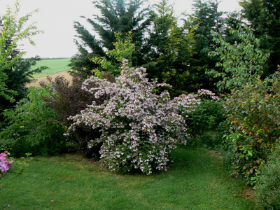 LE JARDIN DE LA MAROTTE