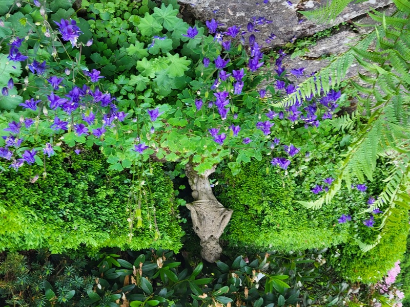 LE JARDIN DES SONGES