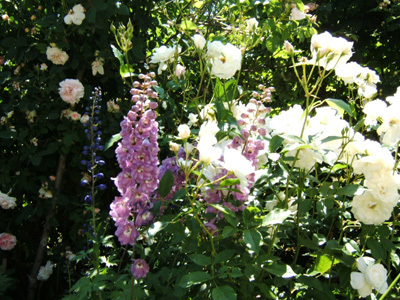 JARDIN DU LOGIS DE LA BARONNIÈRE