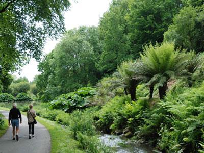 JARDIN DU CONSERVATOIRE BOTANIQUE NATIONAL DE BREST