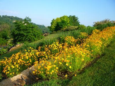 Les Jardins d'eau