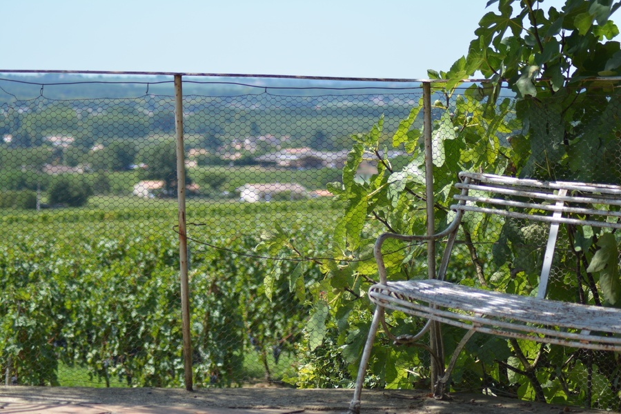 DOMAINE DE MALAGAR