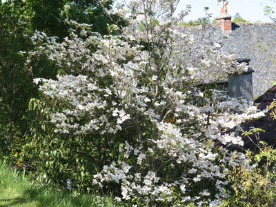 PARC-ARBORETUM de LA BARTHE