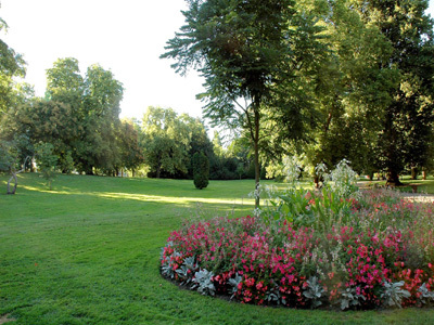 PARC D'ALLIER