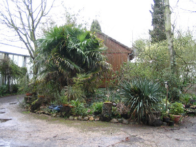 LE JARDIN DE L'OASIS