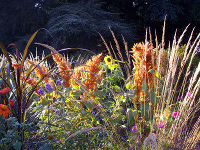 Jardin des Prairiales