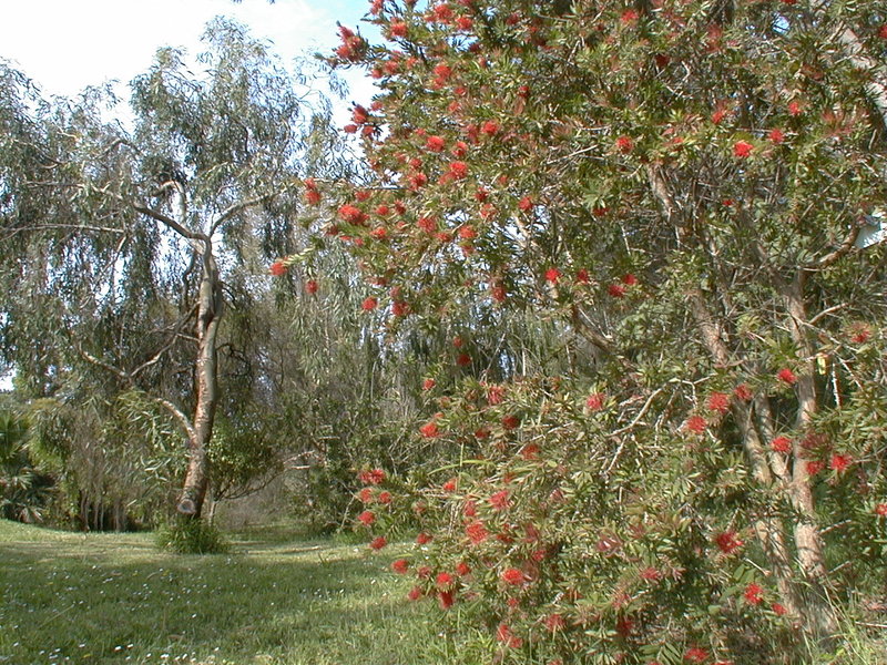 Jardin botanique de la Villa Thuret