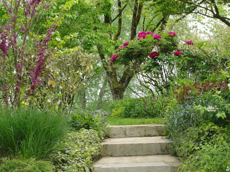 LE JARDIN DES VIEILLES VIGNES