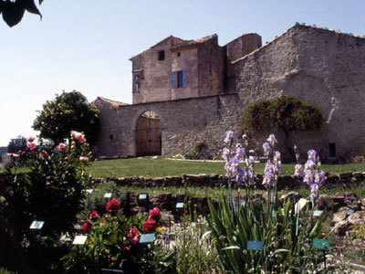 MUSÉE ET JARDINS DE SALAGON