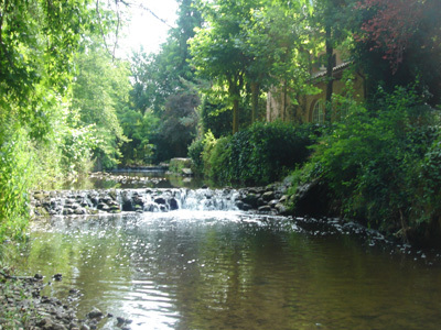LE MOULIN DE LA MOURACHONNE